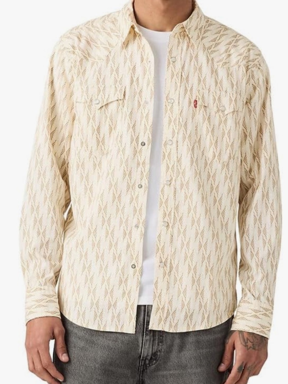 Levi's Men's Broakes Geo Tiger Eye White & Brown/Tan Large Western Shirt
